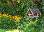 Einziehen und wohlfühlen - wohnen auf traumhaftem Grundstück in Weilheim/Teck - Garten